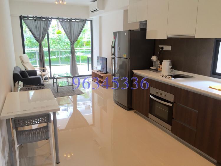 Parc Olympia (D17), Condominium #156213242
